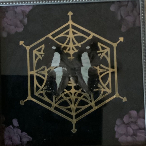 Custom handmade framed real butterfly - Picture 2 of 2